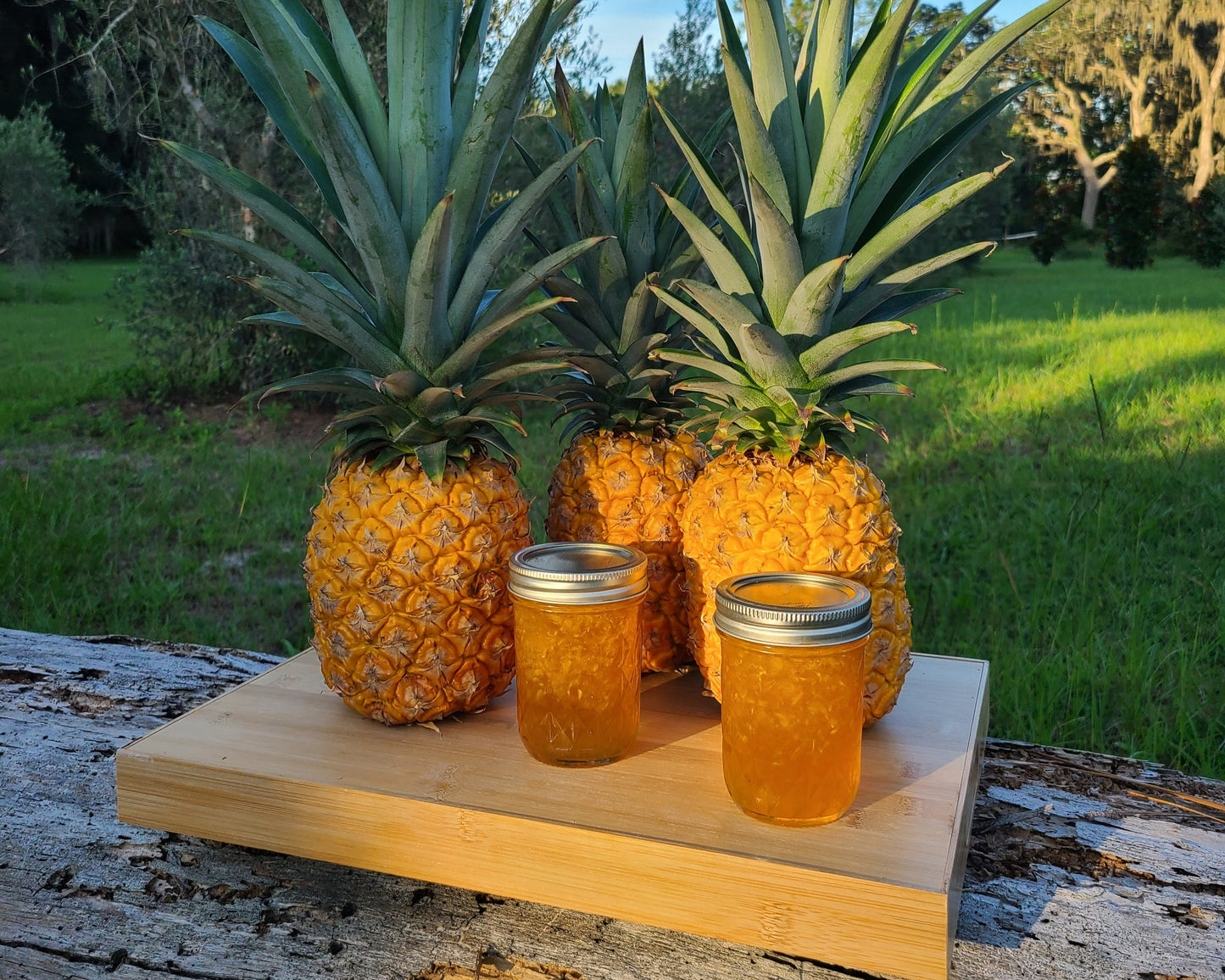 Pineapple Jam