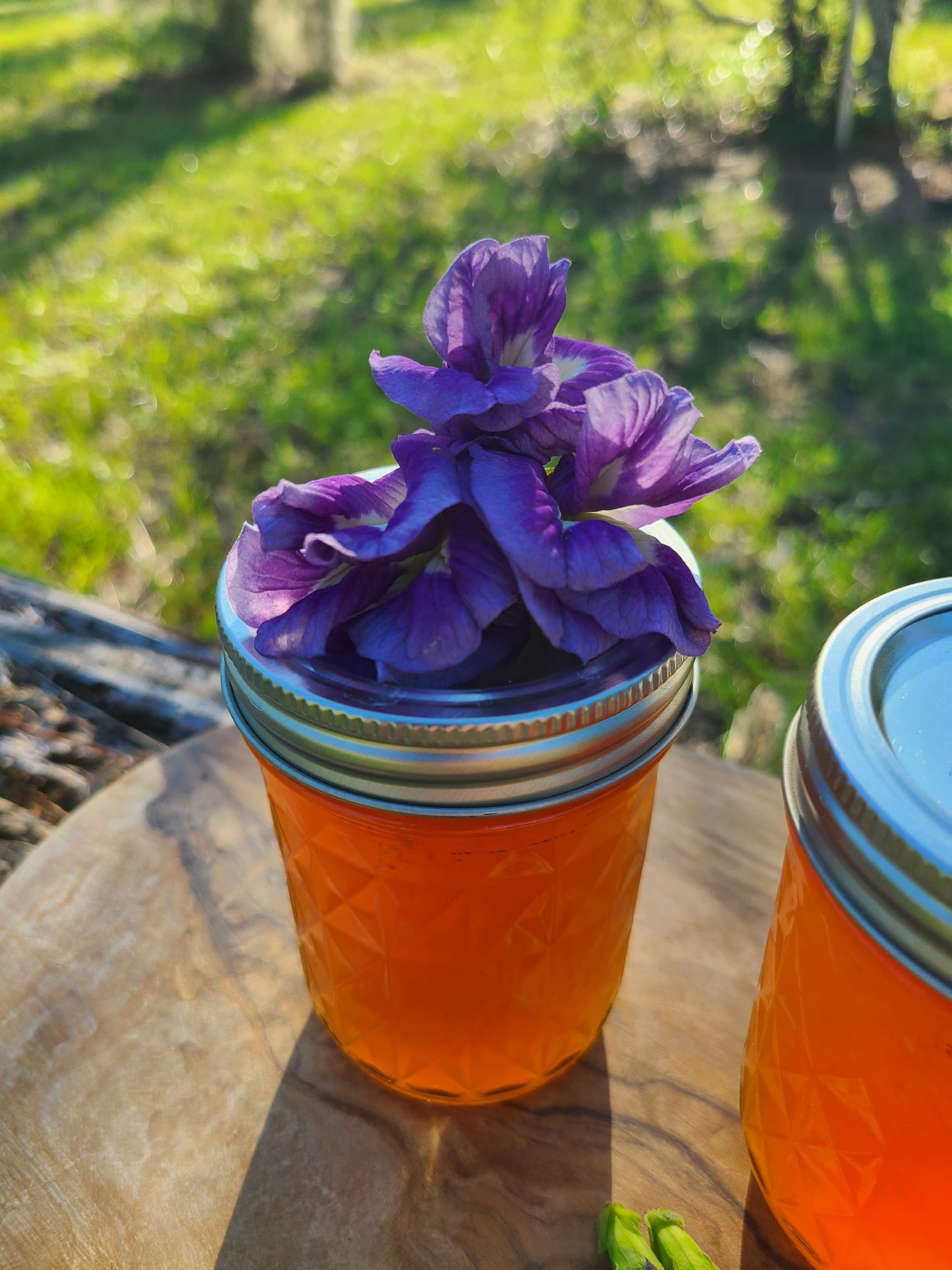 Passionfruit Mint Butterfly Pea Flower Jelly