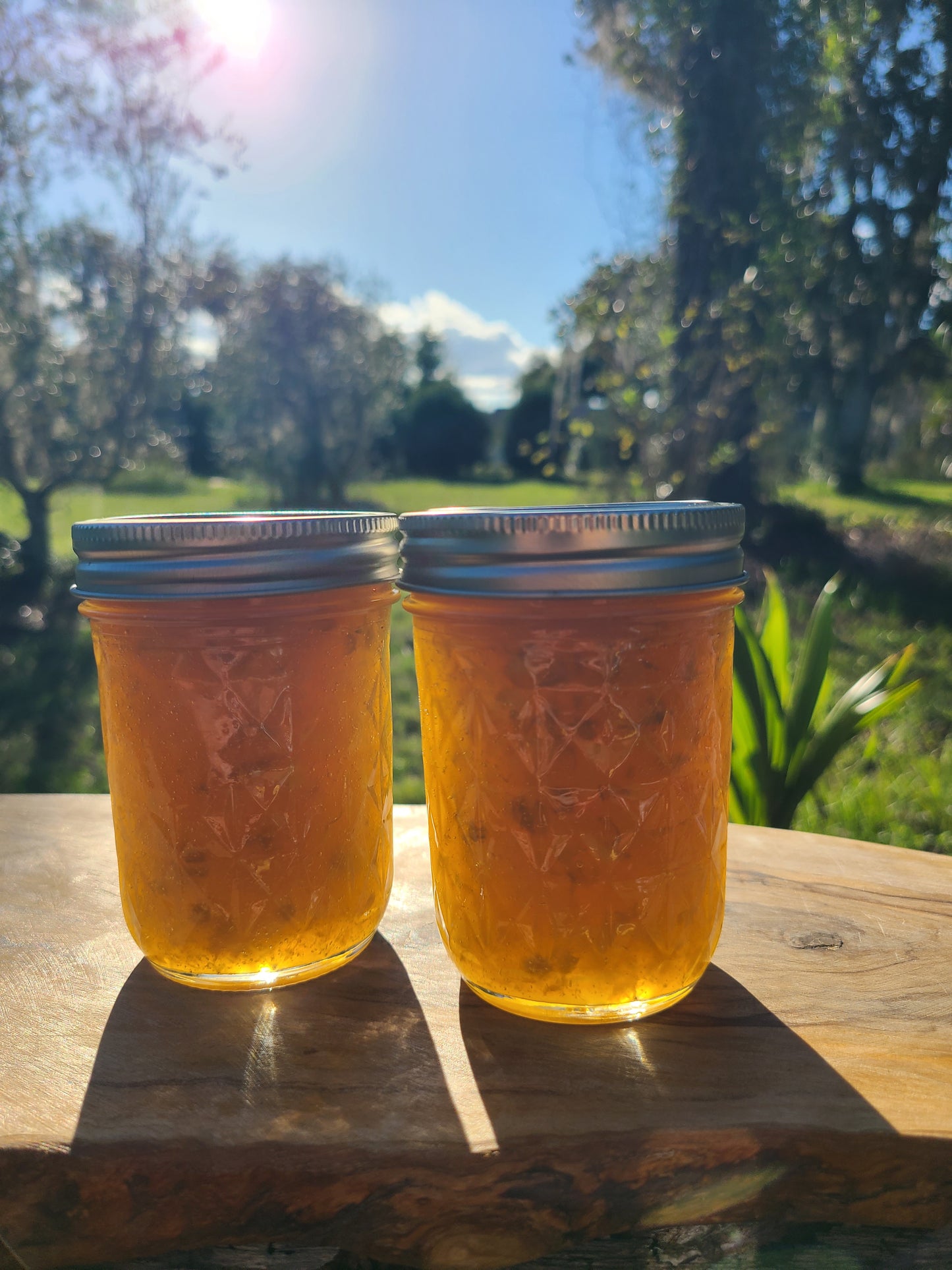 Mango Datil Pepper (Spice level- Medium) Preserve