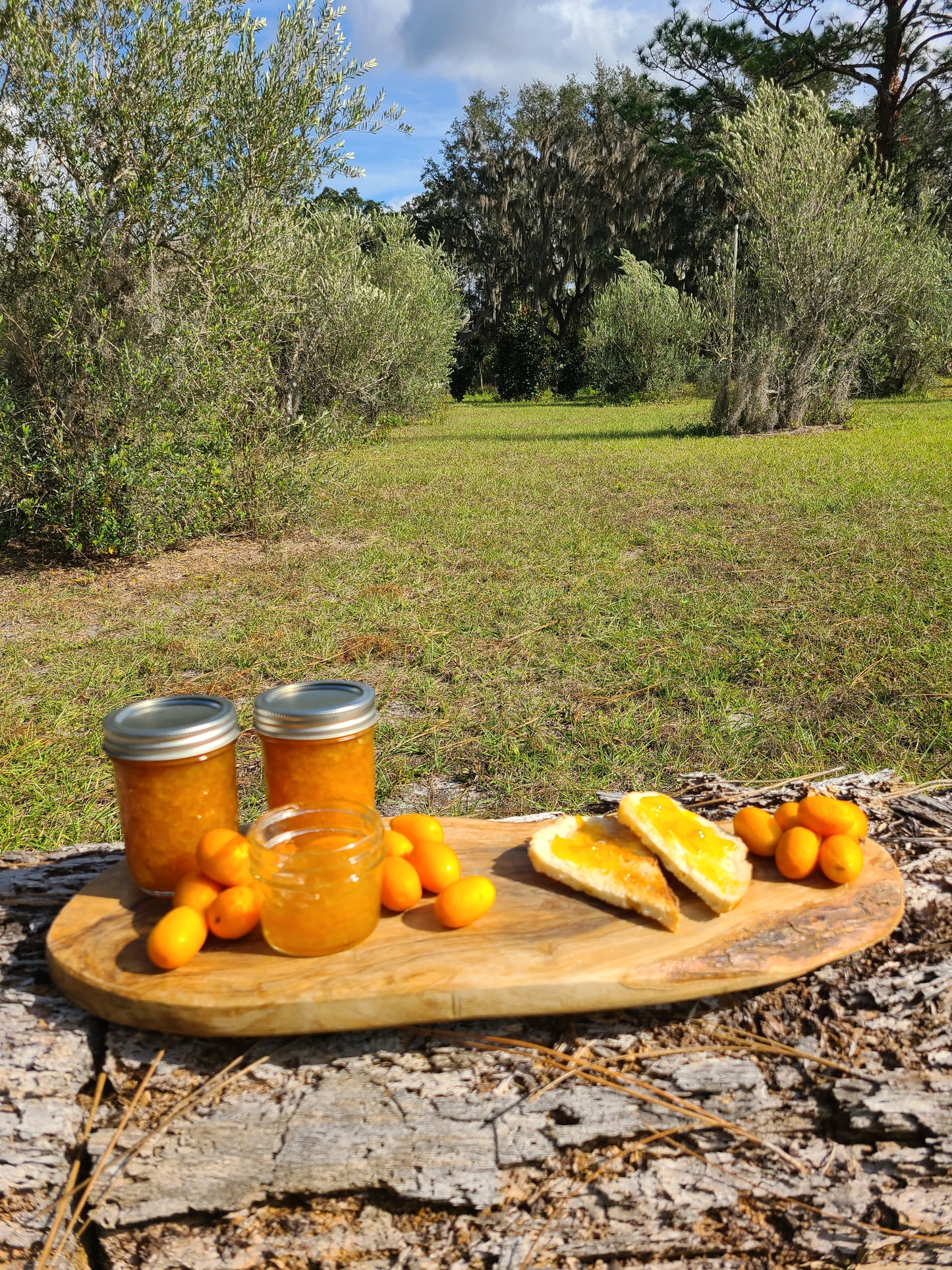 Kumquat Marmalade