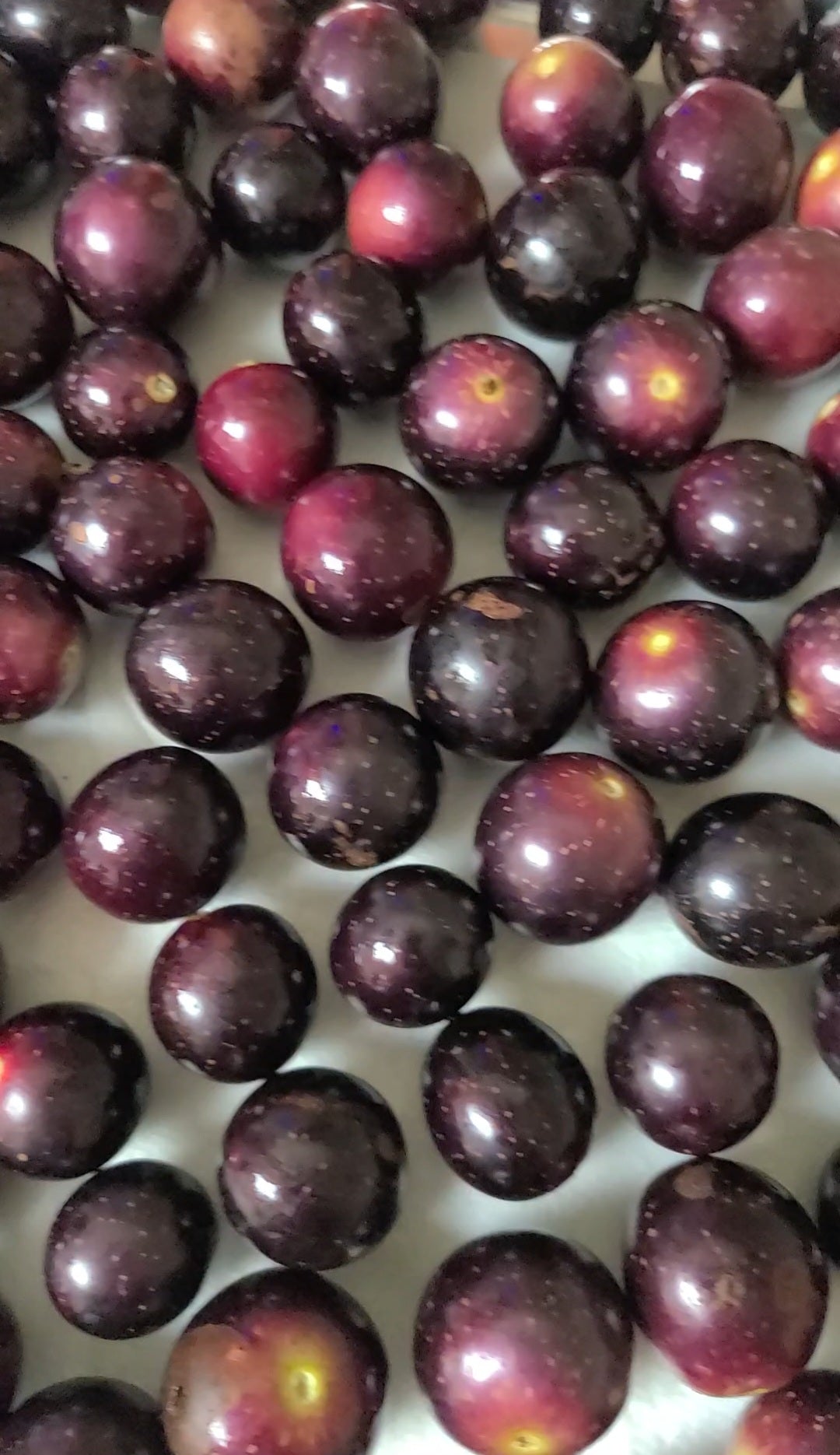 Low-er Sugar Muscadine Grape Jelly