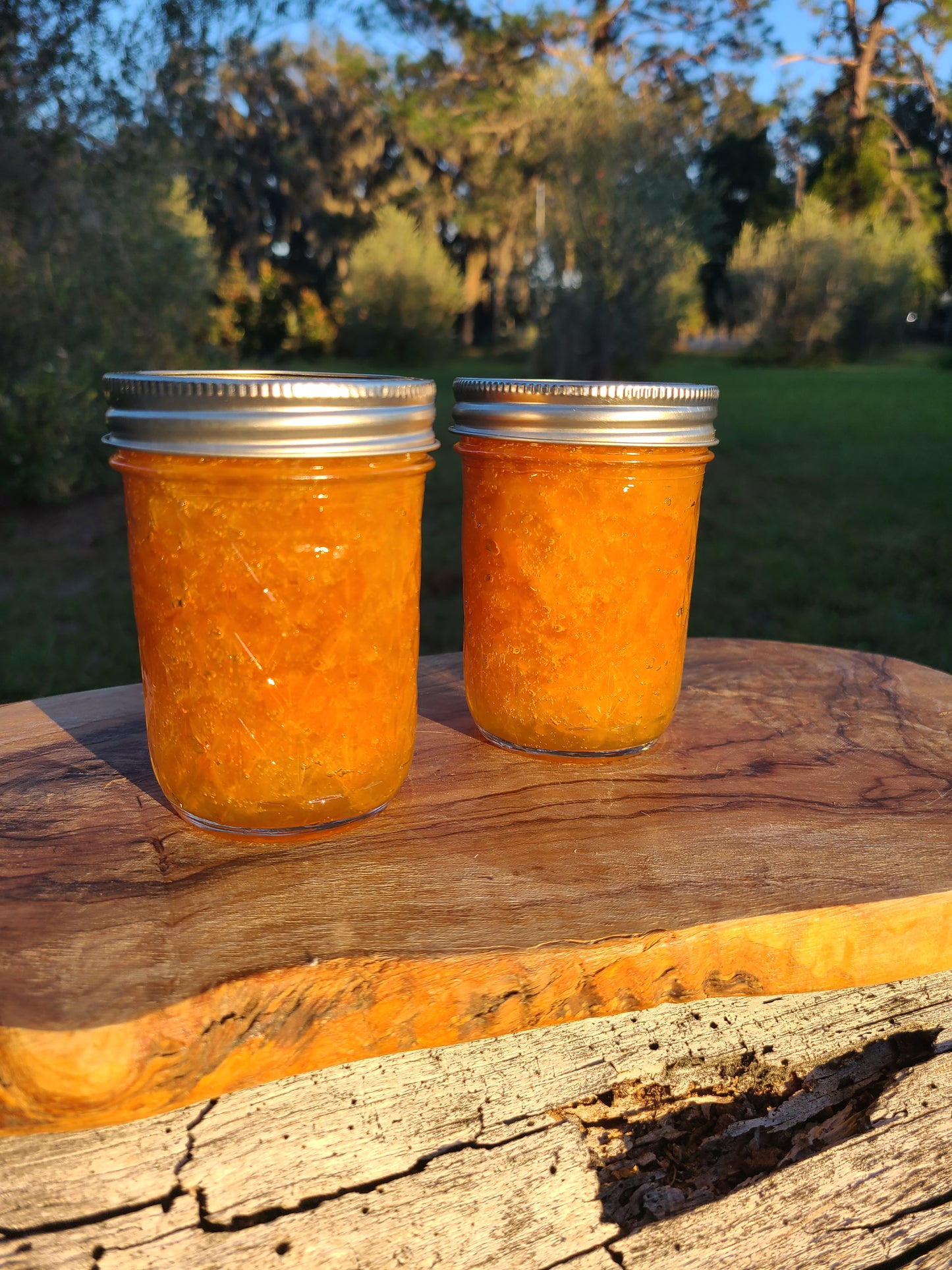 Kumquat Marmalade