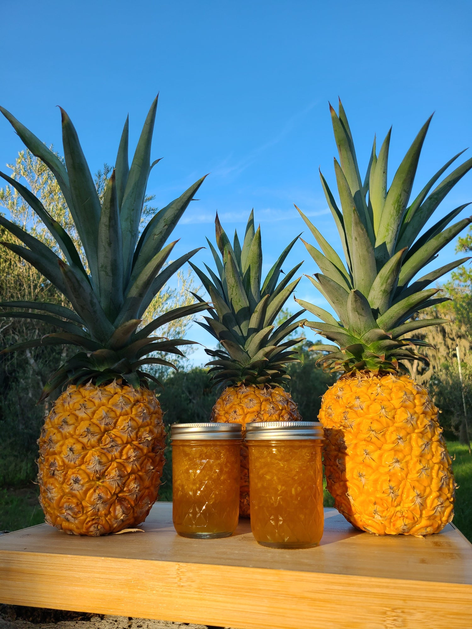 Florida Classic Jam & Jellies