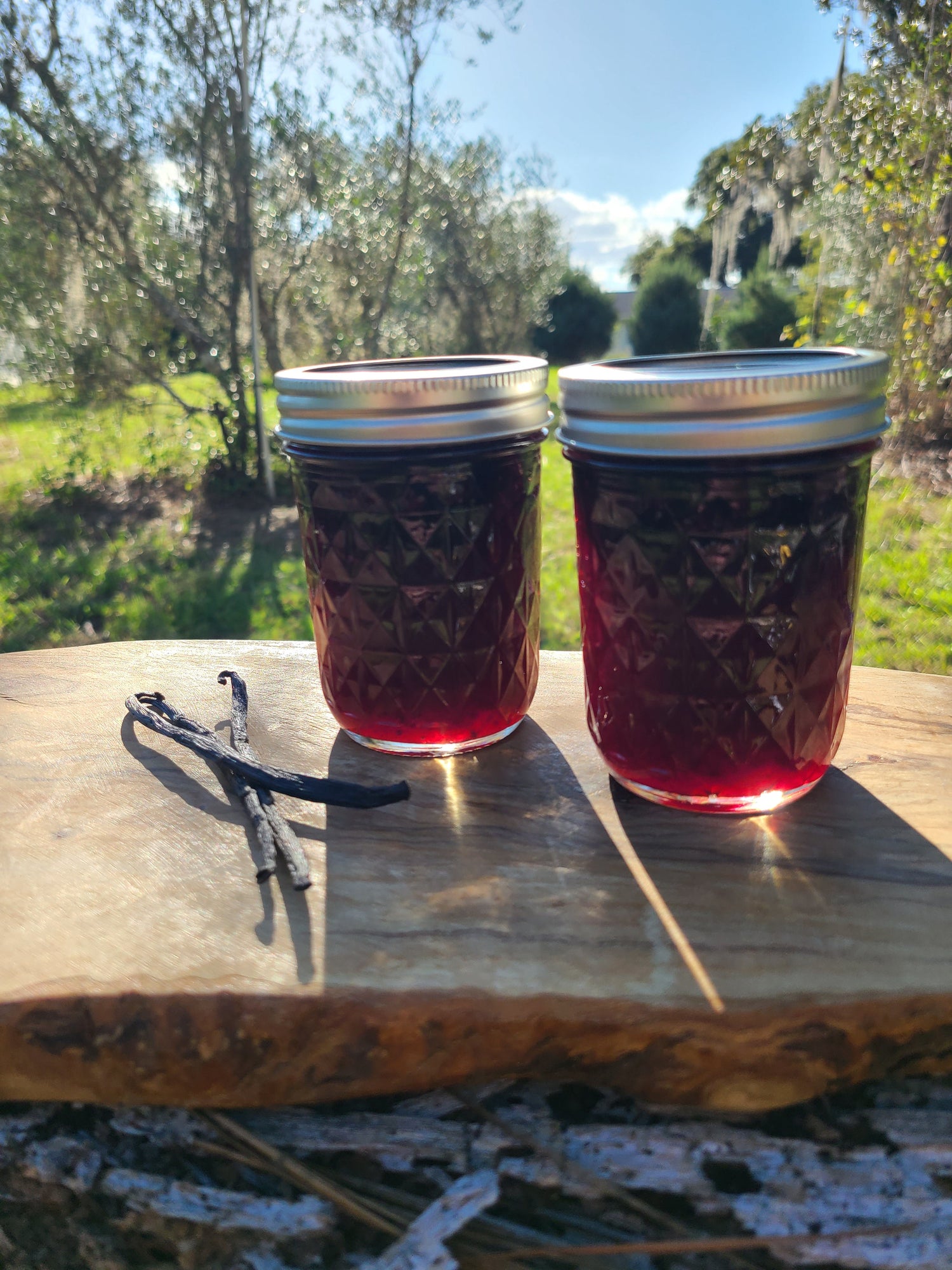 Jammy Sauces Collection