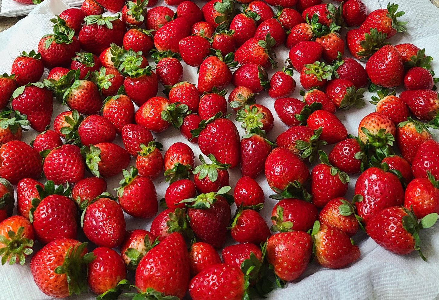 Strawberry Passionfruit Jam