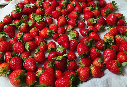 Strawberry Passionfruit Jam