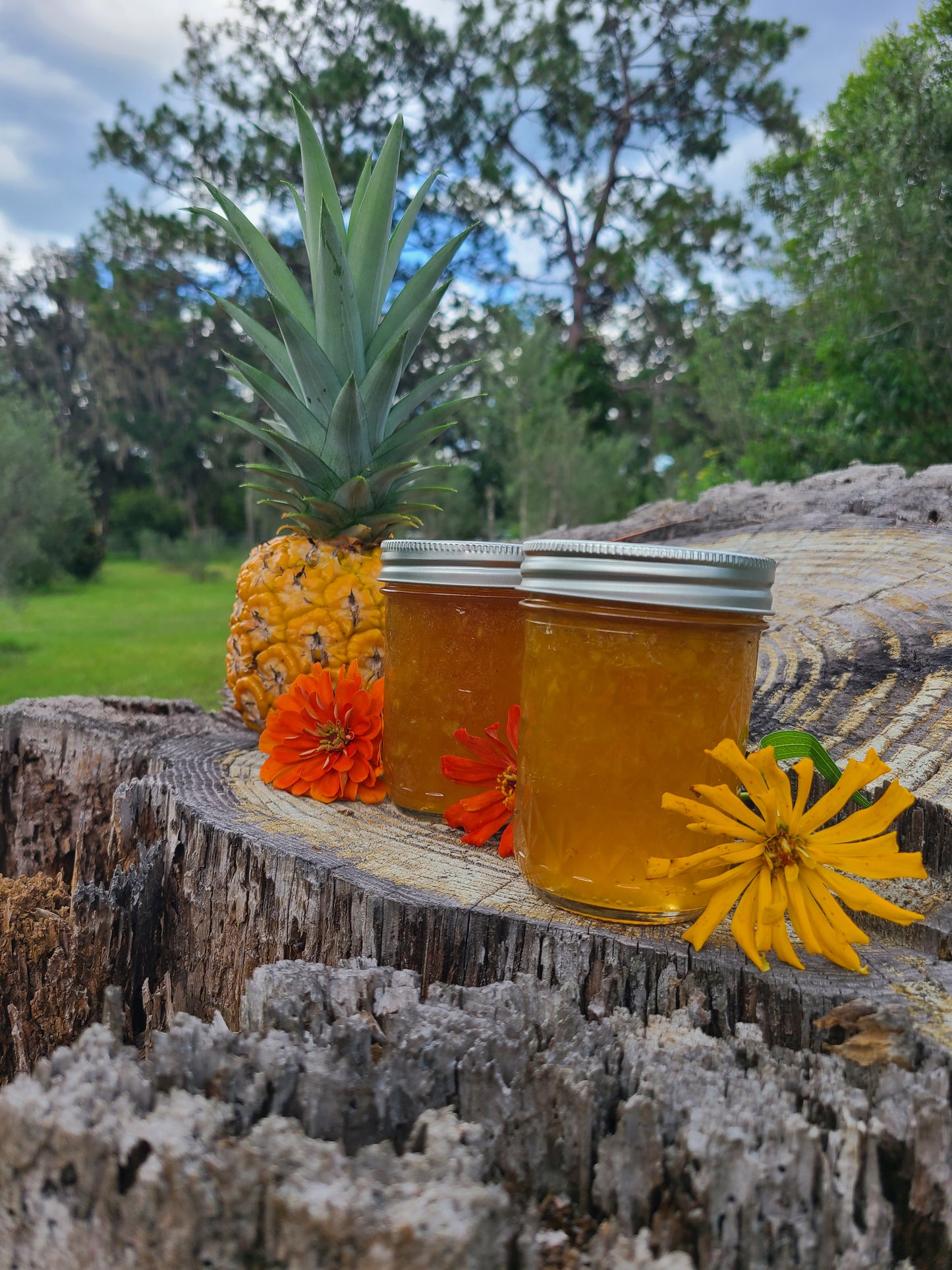 Low-er Sugar Pineapple Jam