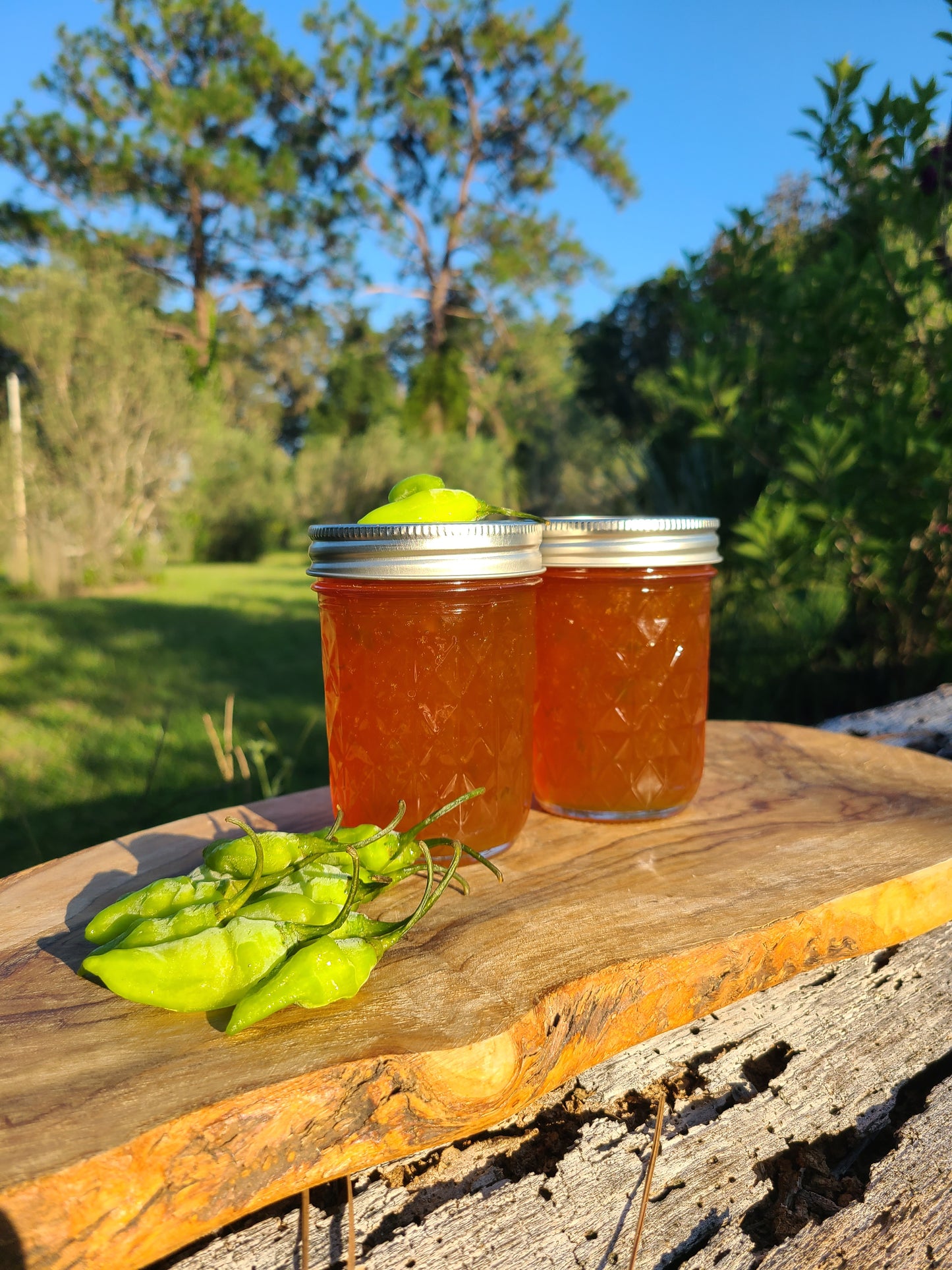 Passionfruit Datil Pepper Jelly (Spice Level-Mild)