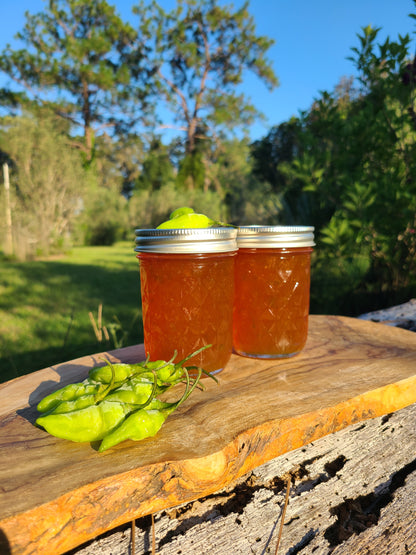 Passionfruit Datil Pepper Jelly (Spice Level-Mild)