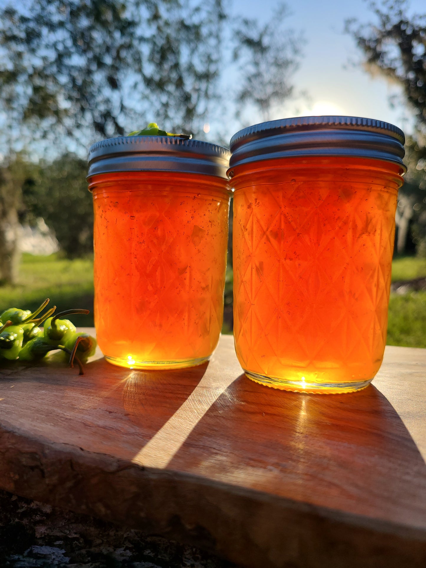 Passionfruit Datil Pepper Jelly (Spice Level-Mild)