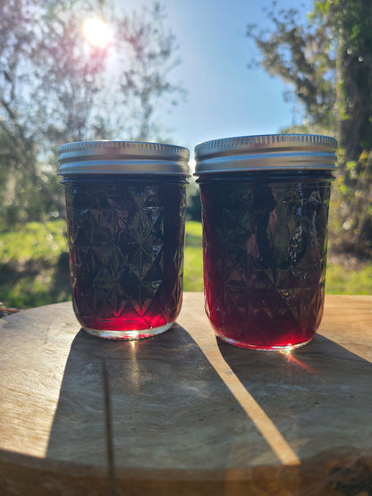 Blueberry Mango Jammy Sauce