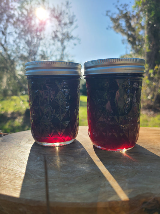 Blueberry Mango Jammy Sauce