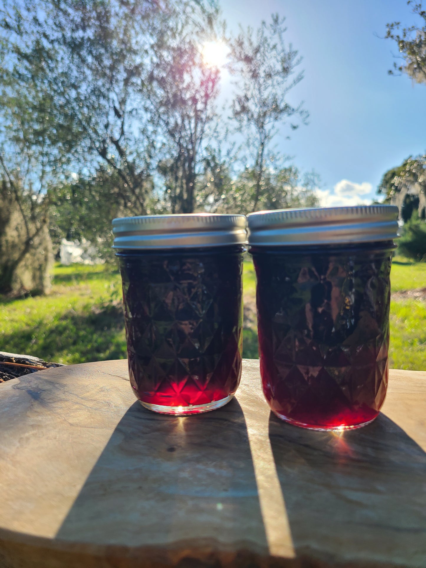Blueberry Mango Jammy Sauce