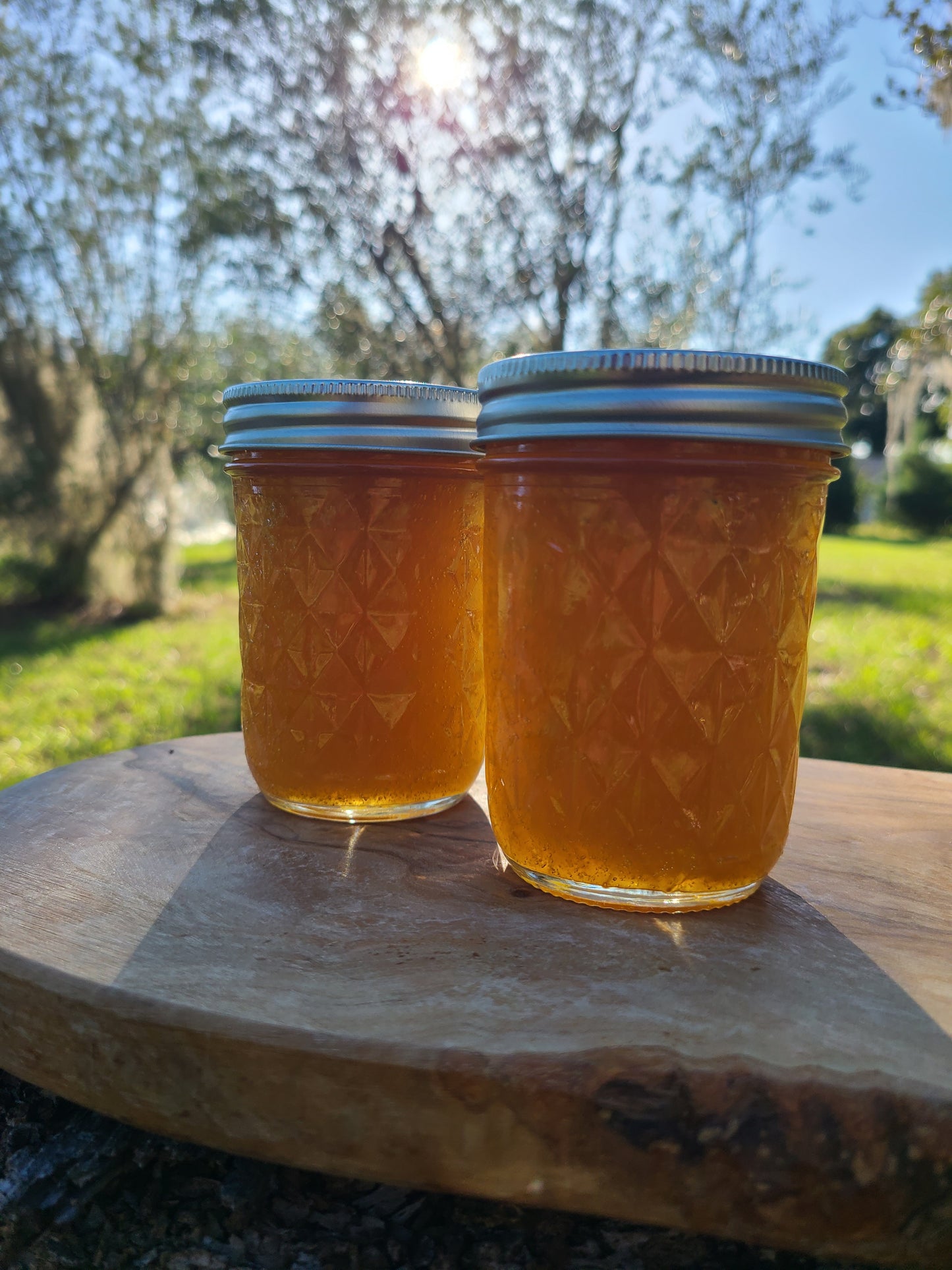 Mango Jam