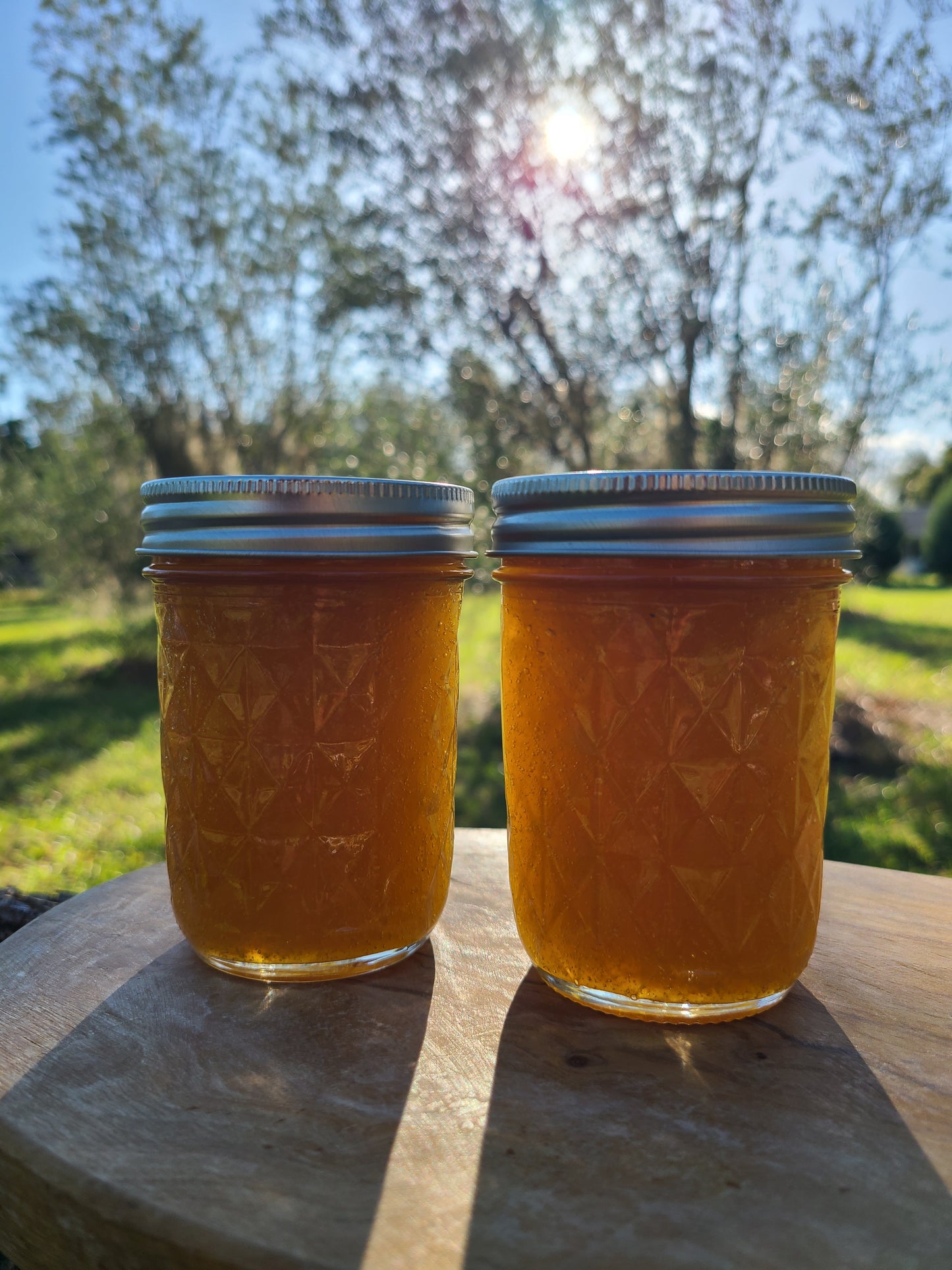 Mango Jam