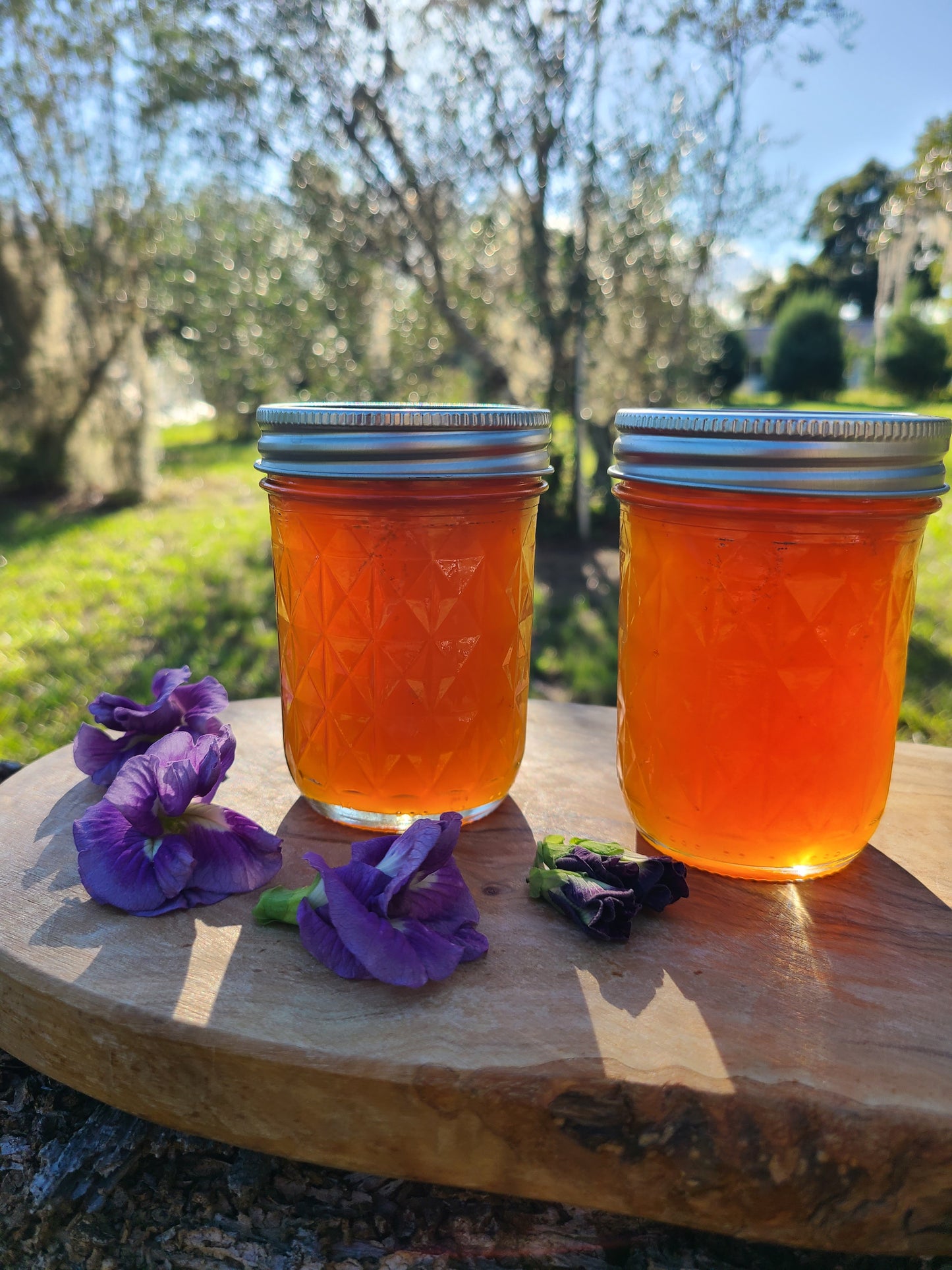 Passionfruit Mint Butterfly Pea Flower Jelly