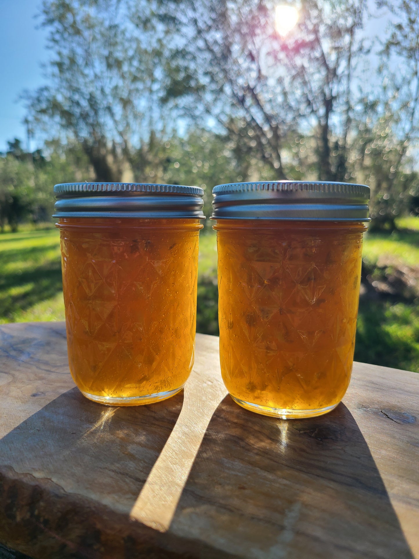 Mango Datil Pepper (Spice level- Medium) Preserve
