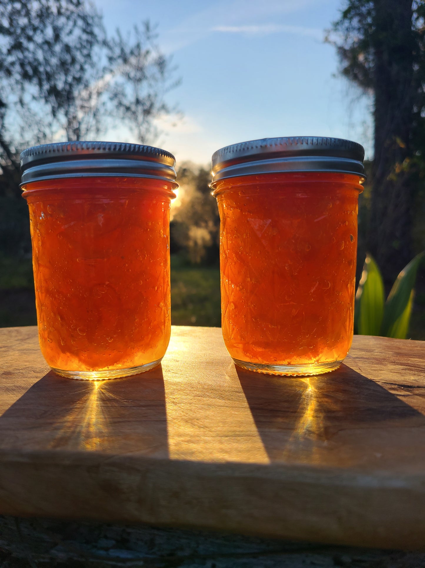 Strawberry Kumquat Jam