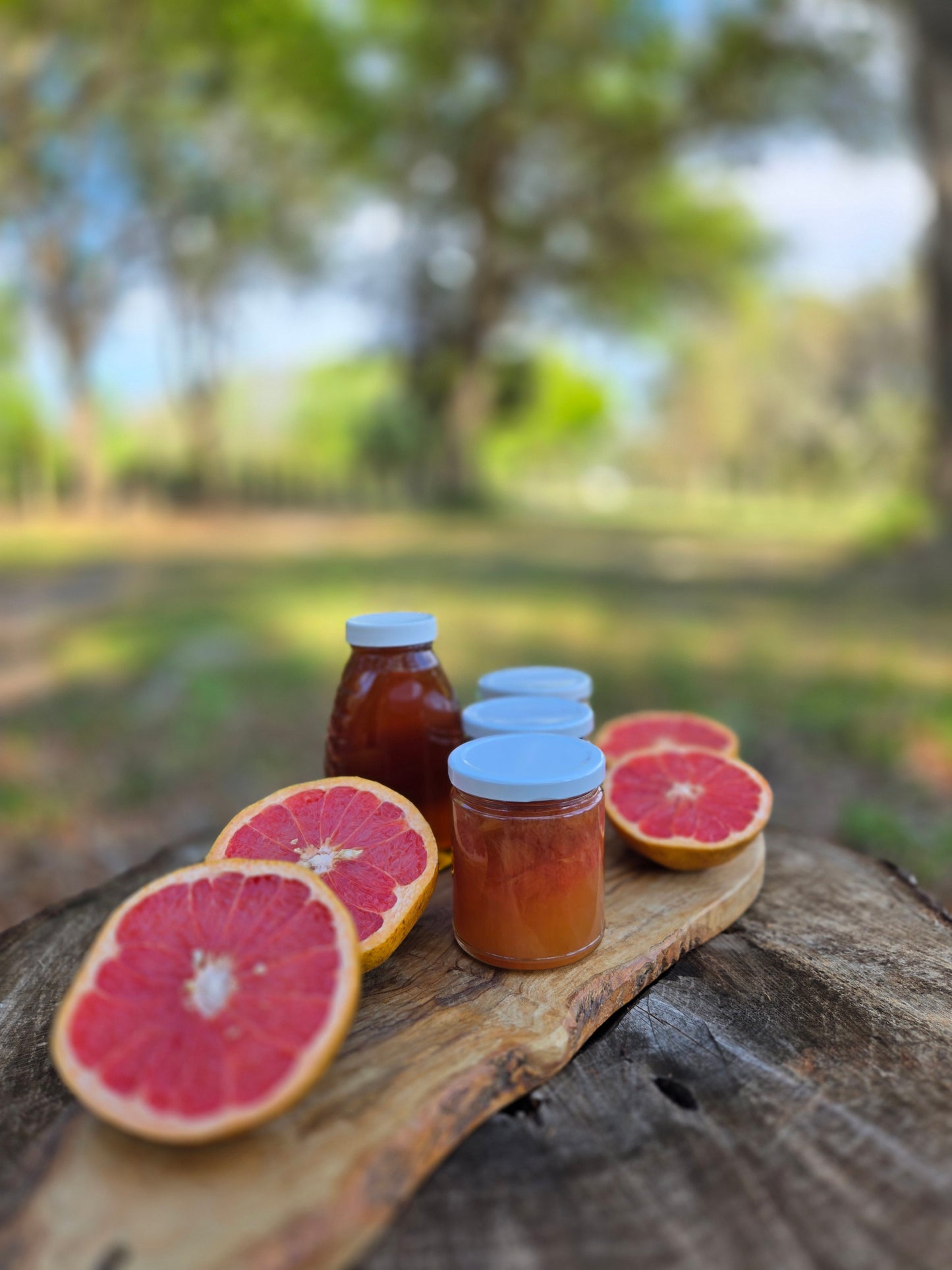 Pink Grapefruit Jelly- Sweetened with honey