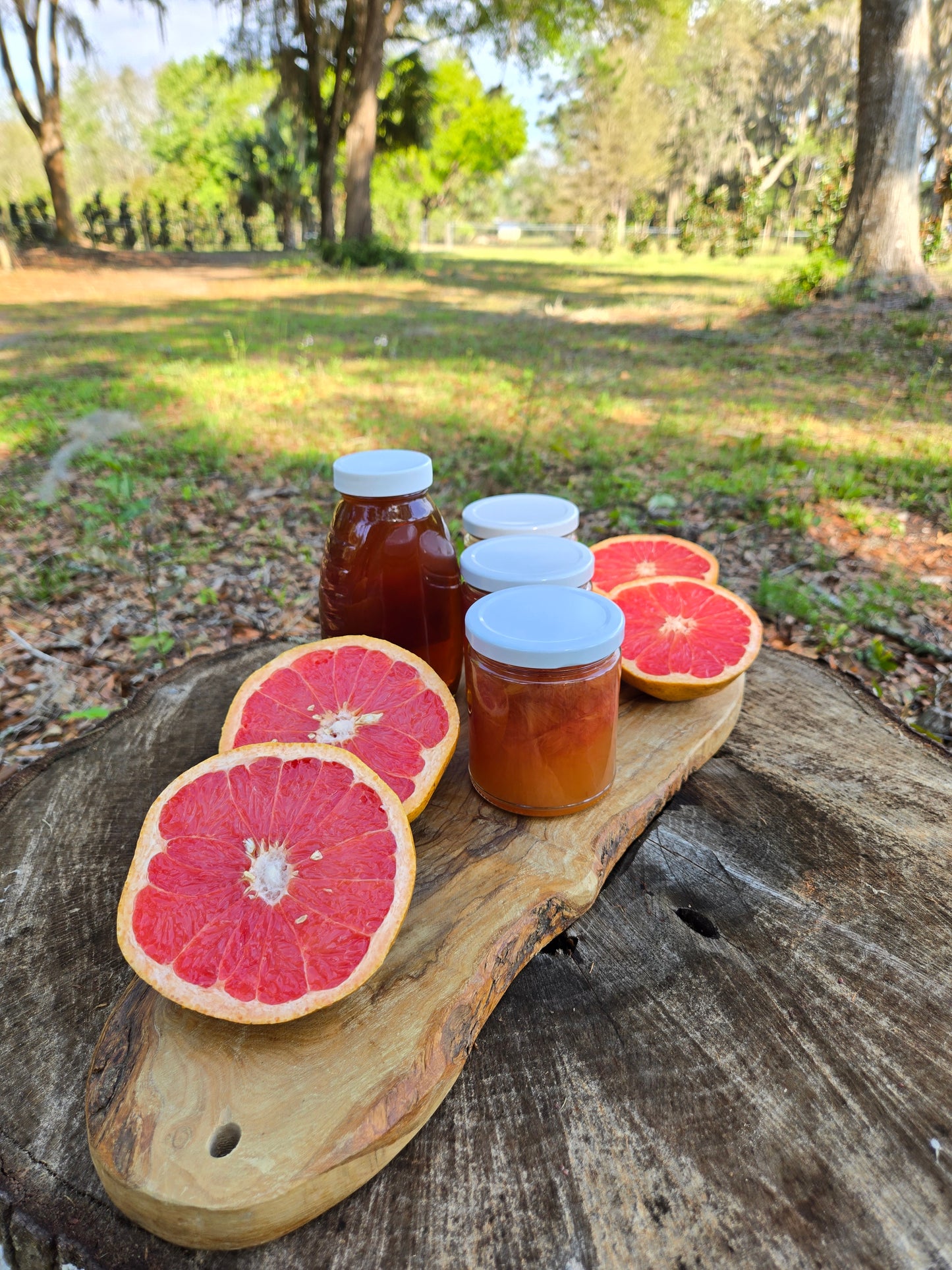 Pink Grapefruit Jelly- Sweetened with honey