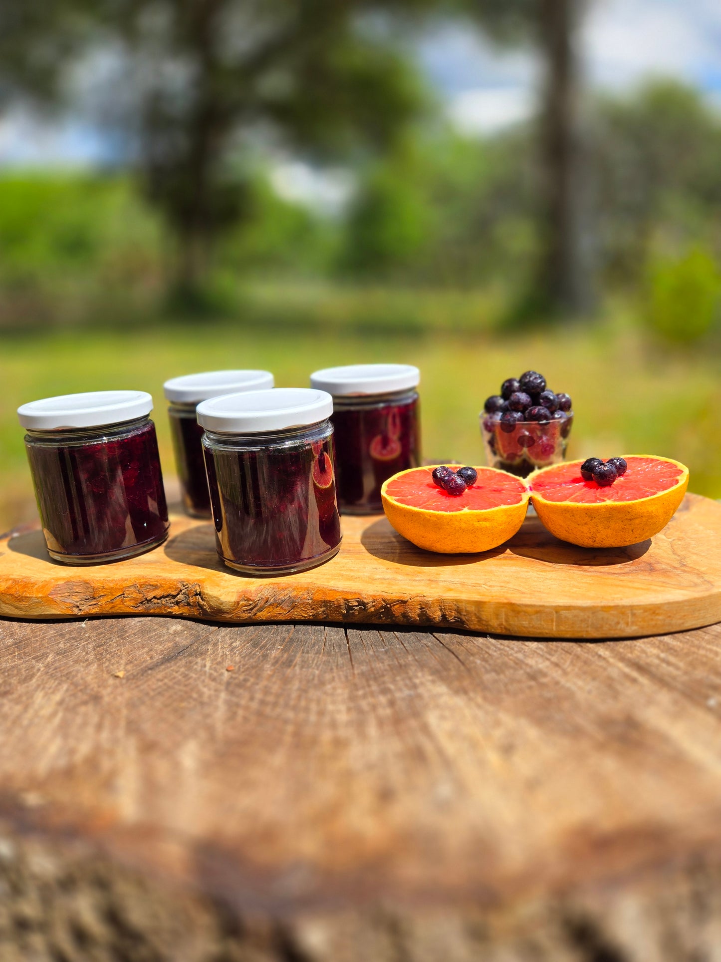 Blueberry Grapefruit Jam- Low sugar