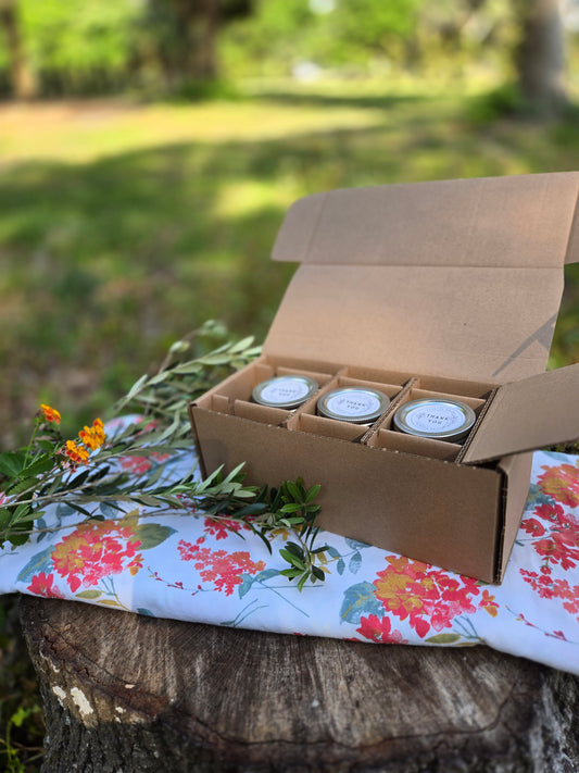 Florida Classic Sampler Gift Box