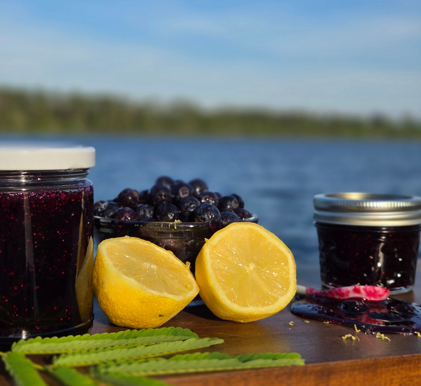 Blueberry Lemon Jam – Whole Berry Preserve