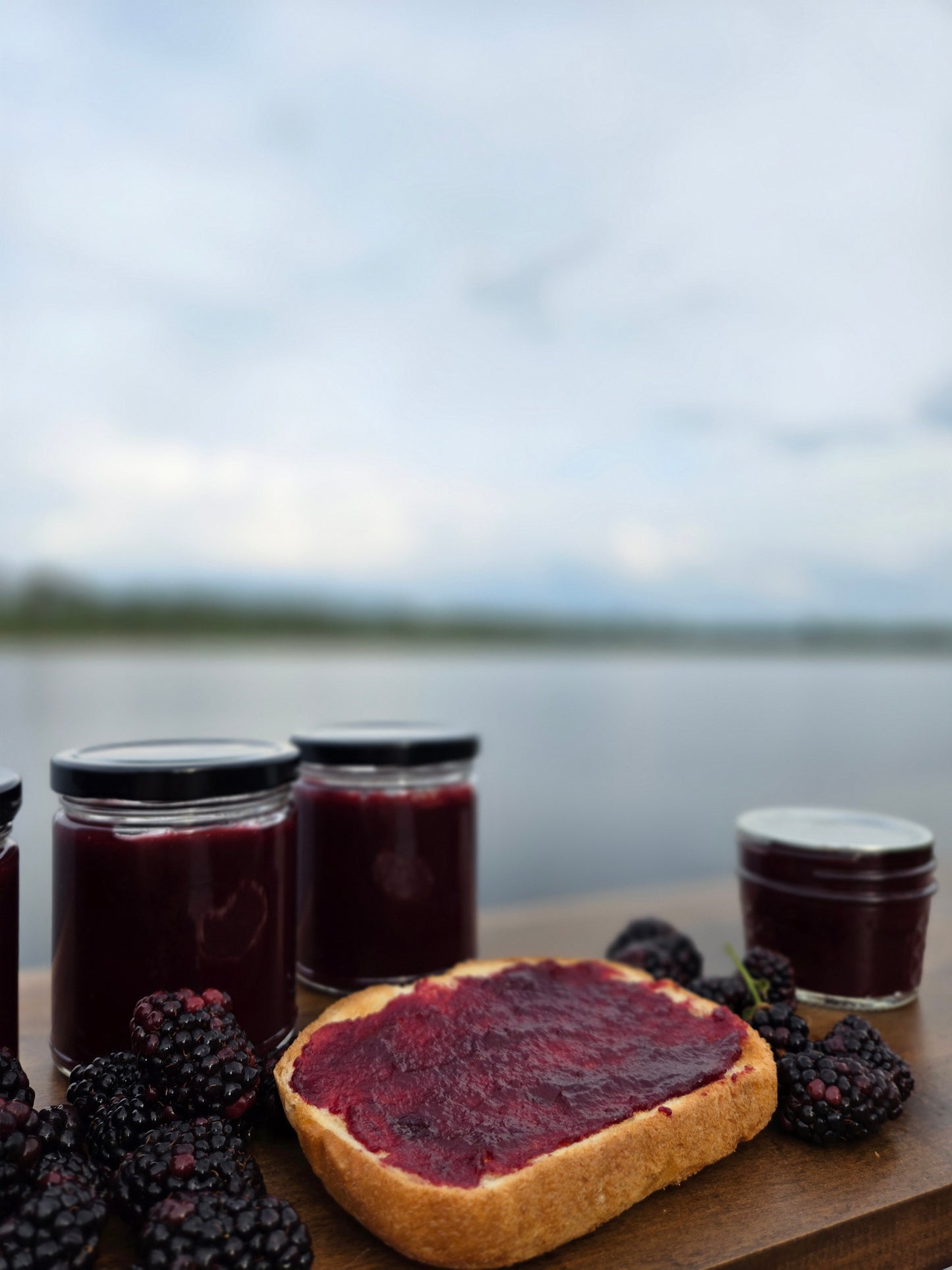 Seedless Blackberry Spread- Low Sugar